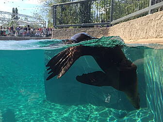 Pics: see the Zoo's newest...
